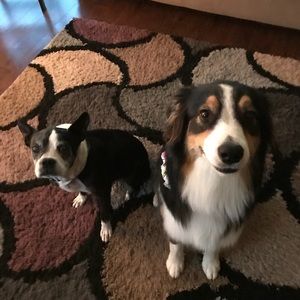 Meet your Posher, Jennifer